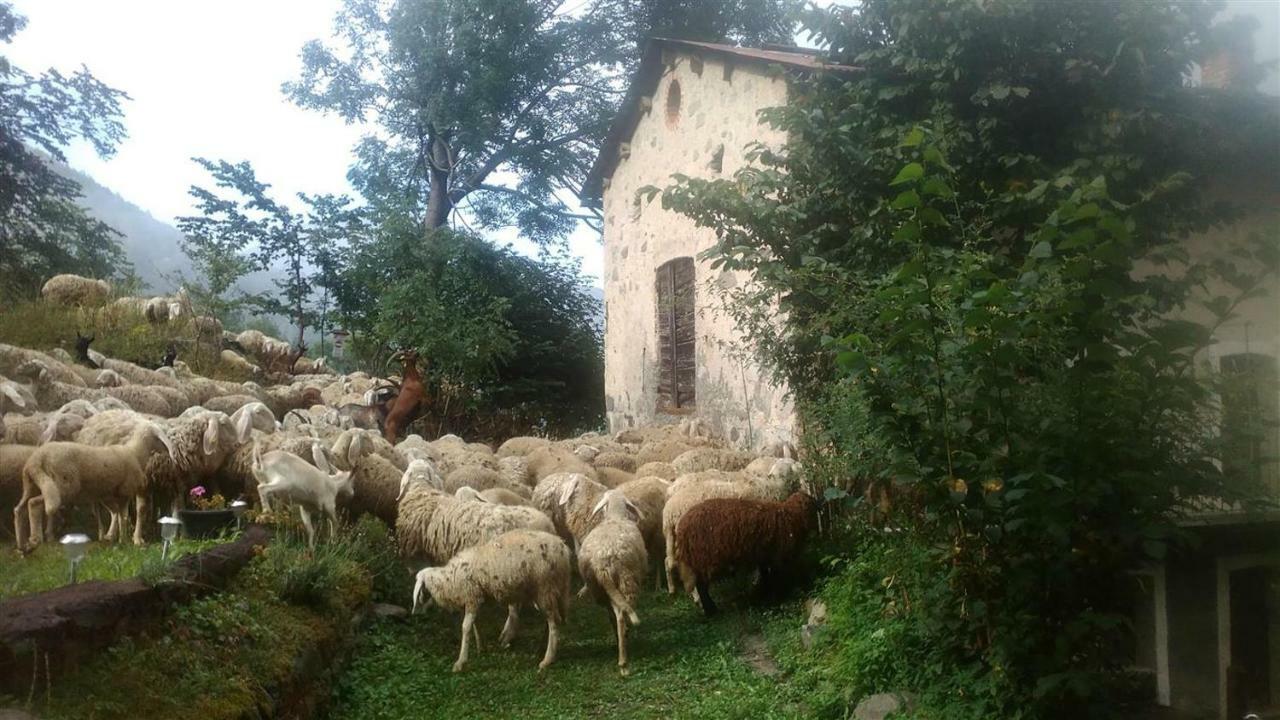 B&B L'Abric - Centro Storico Di Limonetto Лімоне-П'ємонте Екстер'єр фото